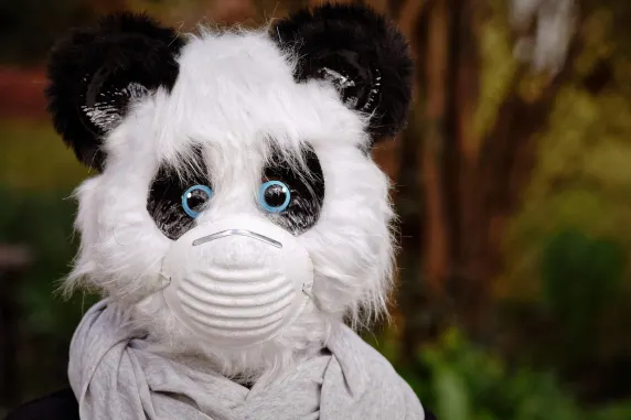 BigAzart Kasino Sokongan